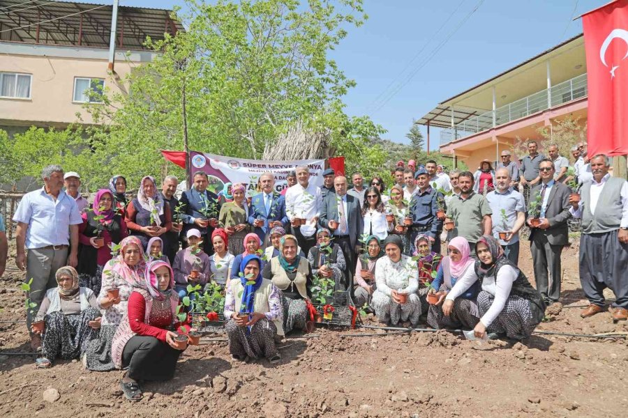 Mezitlili Kadınlar Aronya Üretimi İçin İlk Fidanları Toprakla Buluşturdu