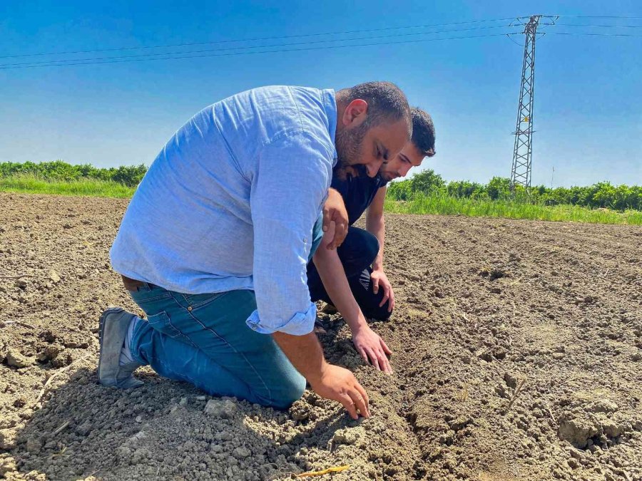 Tarsus’ta Pamuk Yeniden Boy Verecek