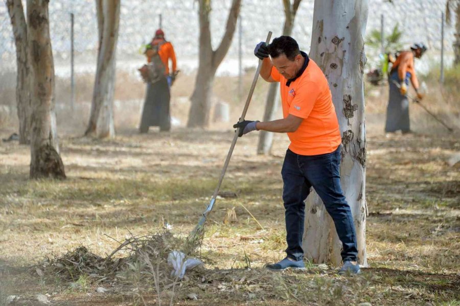 Mersin Büyükşehir Belediyesi, Plajları Yaza Hazırlıyor