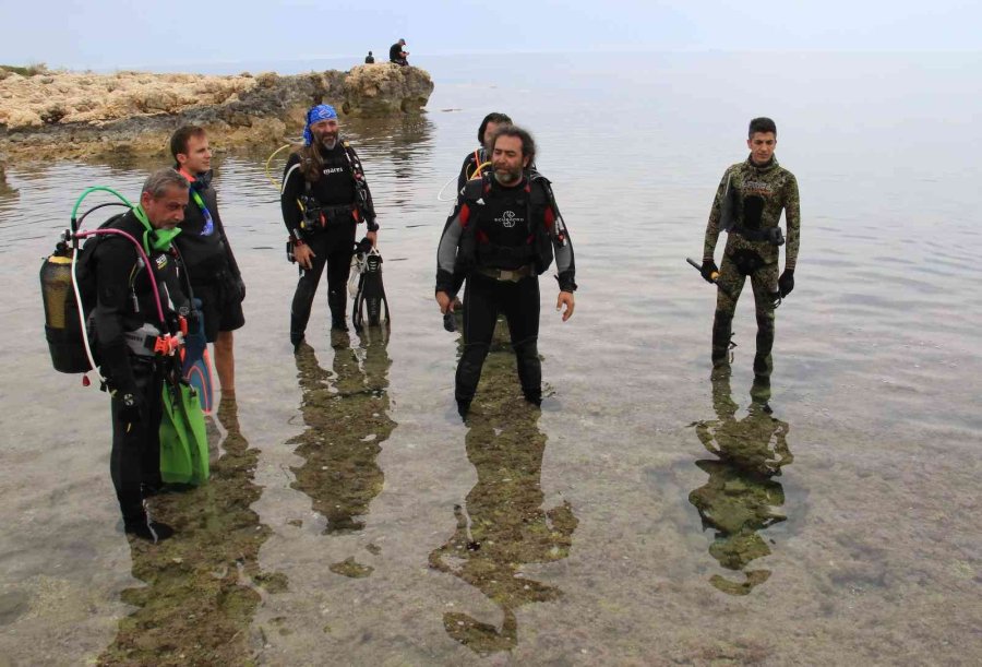 Akdeniz’de Dikenli Zehirli İstilacı Deniz Kestanesi Tehlikesi