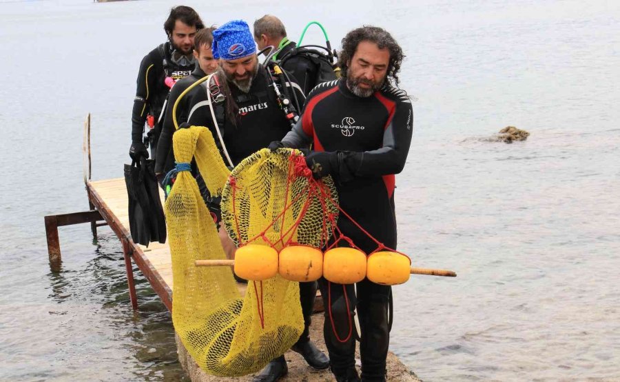 Akdeniz’de Dikenli Zehirli İstilacı Deniz Kestanesi Tehlikesi