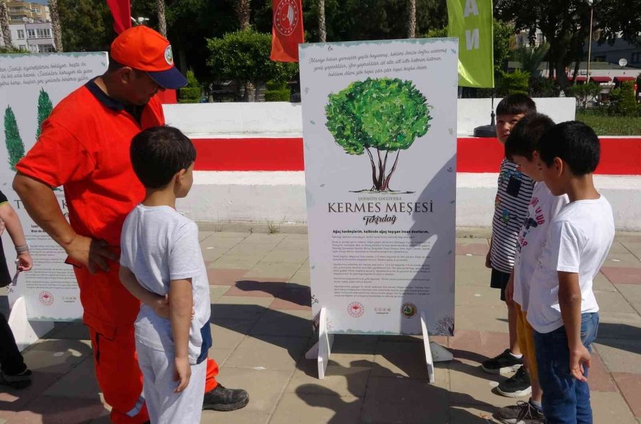 "yeşil Vatan Tırı", Ormanı Öğrencilerin Ayağına Getirdi