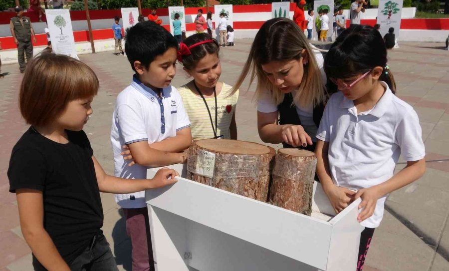 "yeşil Vatan Tırı", Ormanı Öğrencilerin Ayağına Getirdi