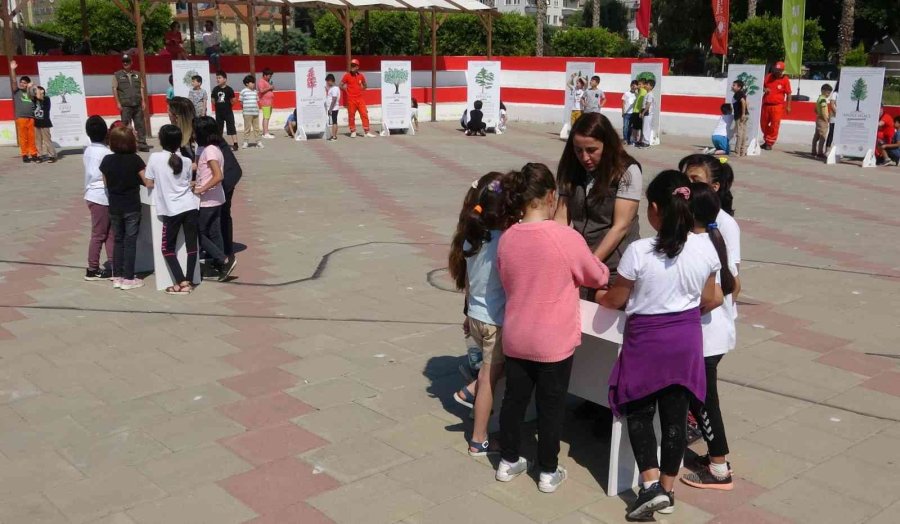 "yeşil Vatan Tırı", Ormanı Öğrencilerin Ayağına Getirdi