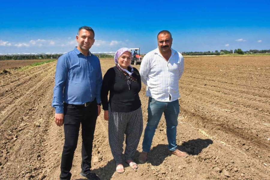 Tarsus’ta Soya Fasulyesi Ekimi Yapıldı