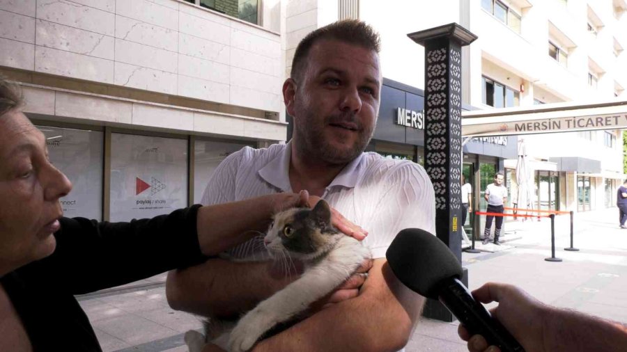 Kayıp Kediyi Mahsur Kaldığı Ağaçtan İtfaiye Ekipleri Kurtardı