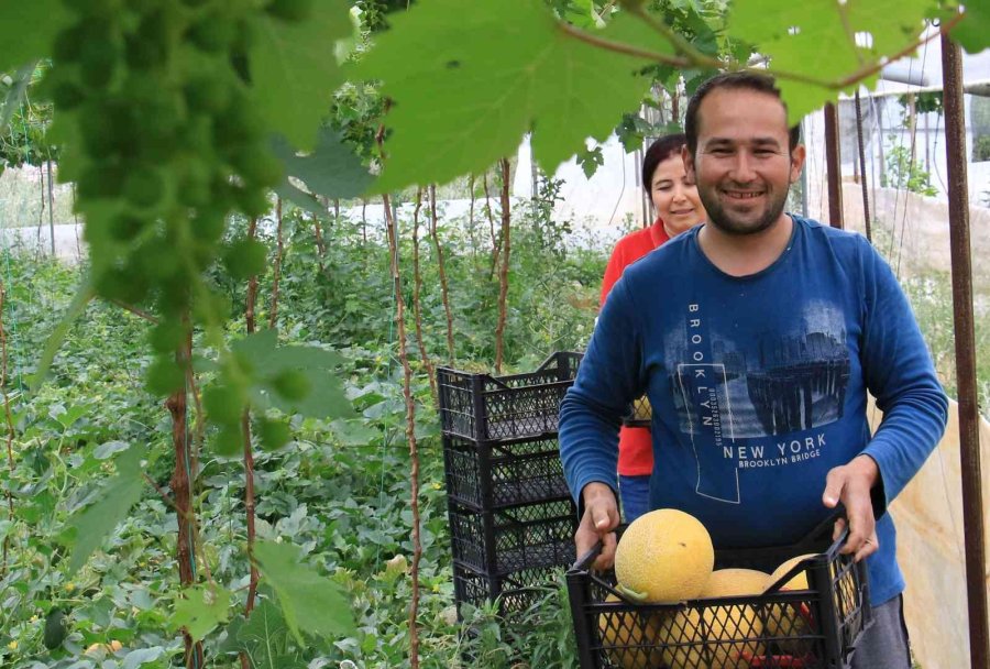 Üreticiye Çifte Kazanç, Örtü Altında Aynı Anda İki Ürün