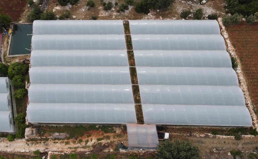 Üreticiye Çifte Kazanç, Örtü Altında Aynı Anda İki Ürün