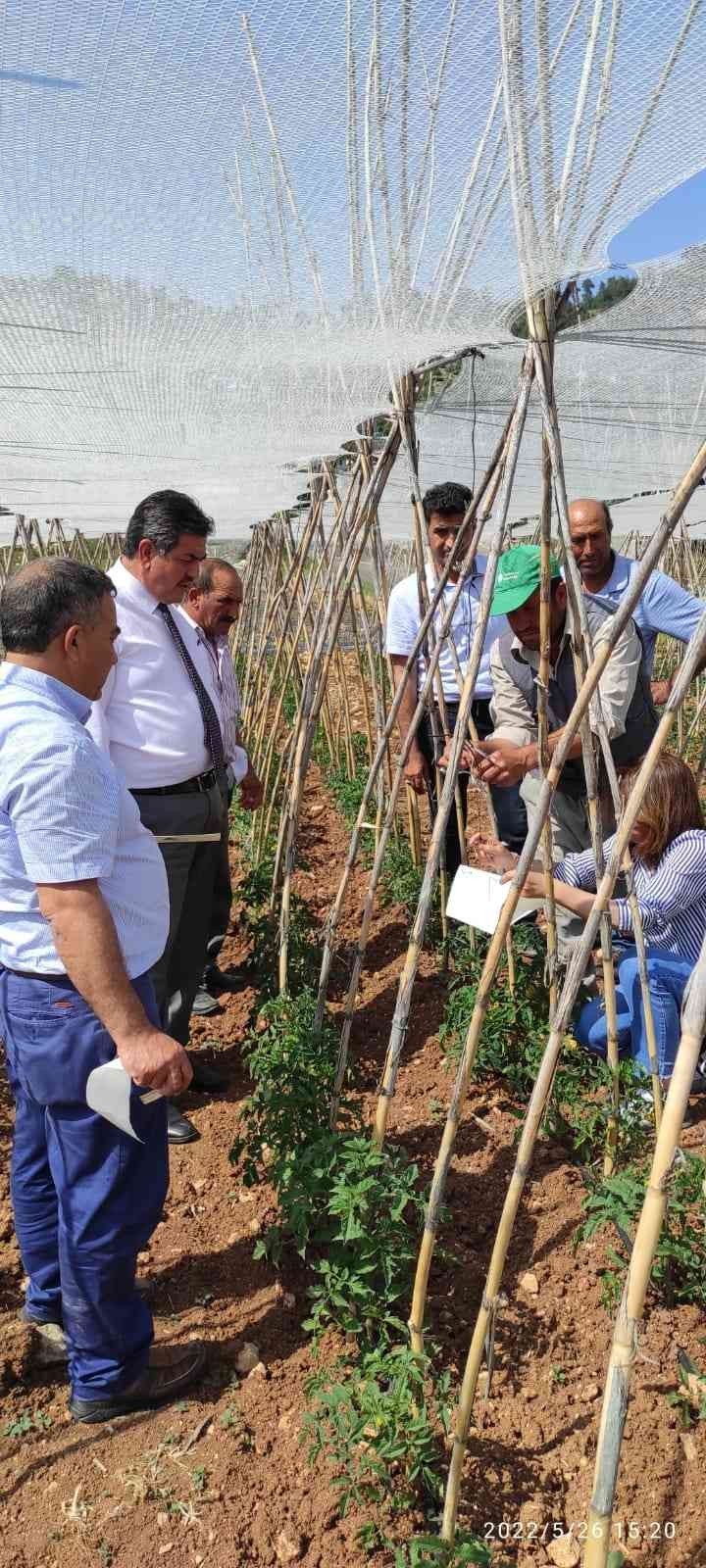 Tarsus’ta Biyoteknik Mücadele İçin Çiftçilere Tuzak Dağıtıldı