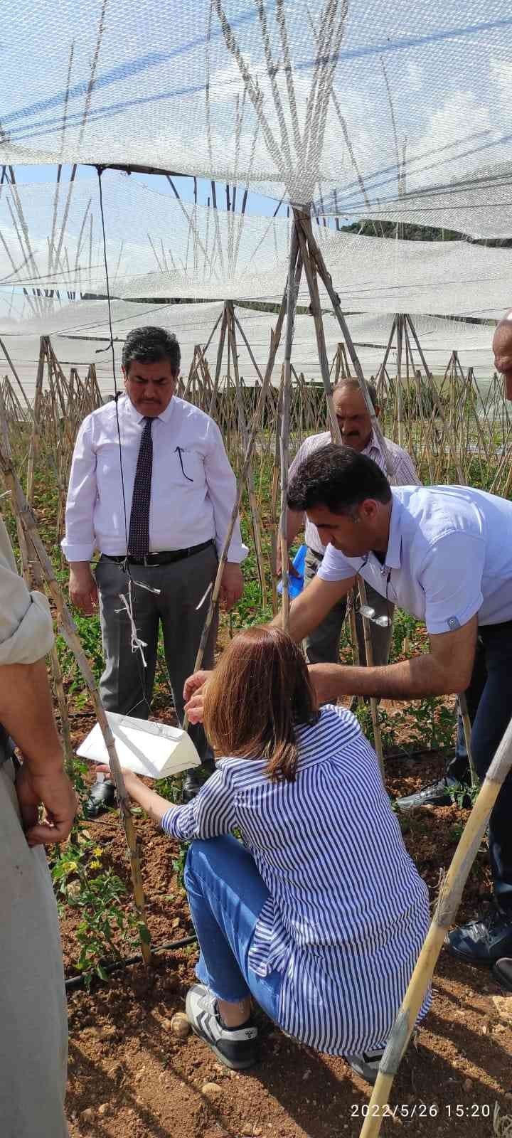 Tarsus’ta Biyoteknik Mücadele İçin Çiftçilere Tuzak Dağıtıldı