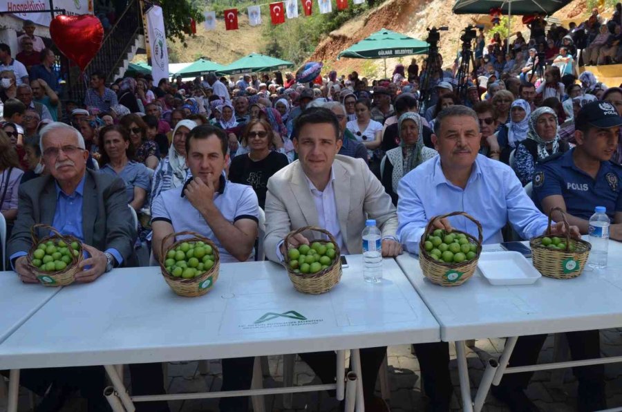 Gezende’de Erik Festivali Coşkusu