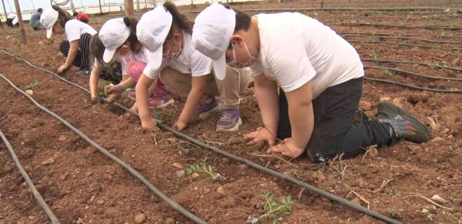 Serik’te Bin 200 İlkokul Öğrencisi Festivalde Buluştu