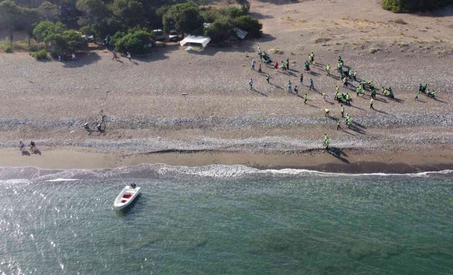 Üreme Öncesi Caretta Carettaların Yuva Yaptığı Sahil Temizlendi