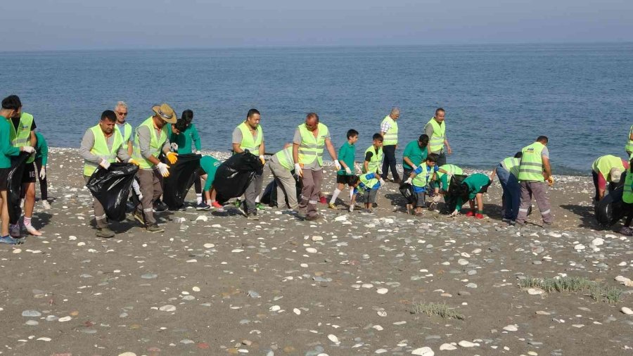 Üreme Öncesi Caretta Carettaların Yuva Yaptığı Sahil Temizlendi