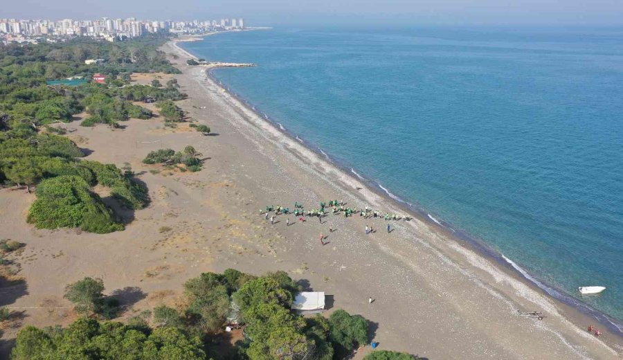 Üreme Öncesi Caretta Carettaların Yuva Yaptığı Sahil Temizlendi