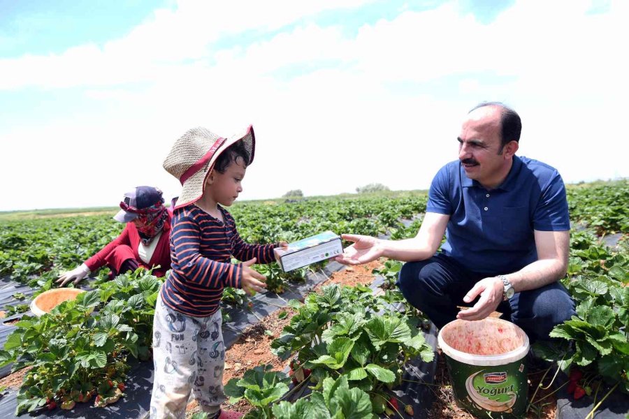 Başkan Altay: “vatandaşlarımızı Alternatif Ürünler Üretmek Konusunda Destekliyoruz”