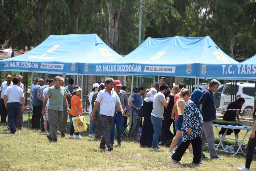 Tarsus Belediyesi, Çiftçilere 2 Milyon Yazlık Fide Dağıttı