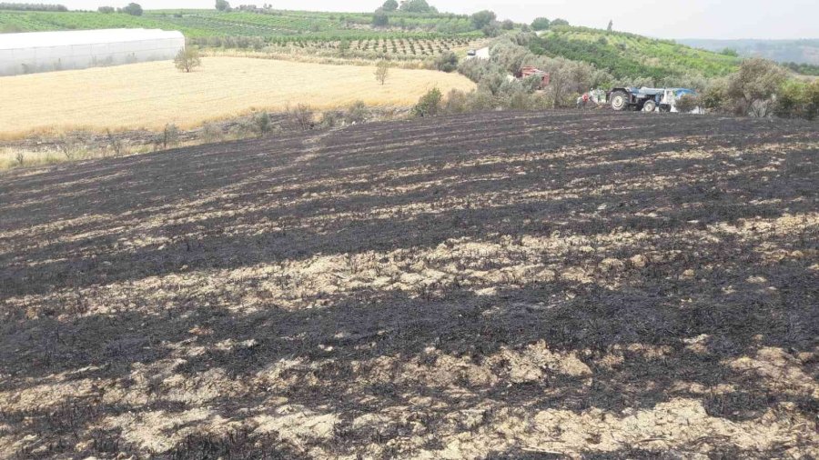 12 Dönüm Buğday Ekili Tarla Yandı