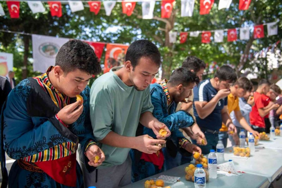 Başkan Seçer, 60. Mut Karacaoğlan Kayısı Kültür Ve Sanat Festivaline Katıldı