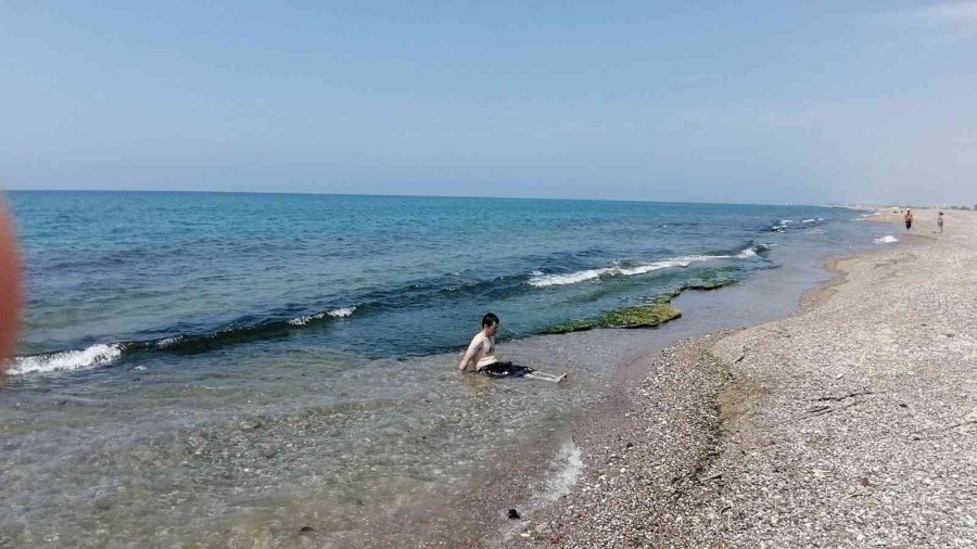 Manavgat’ta Ölü Deniz Tavşanları Sahile Vurdu