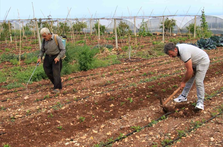 Enerjisi Rüzgar Ve Güneşten, İyi Tarıma Örnek Bahçe, Her Şey Doğal