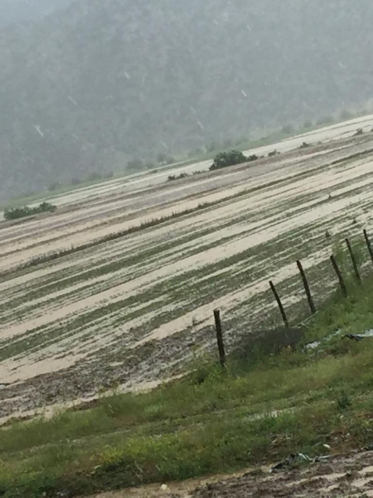 Derebucuk’ta Ekili Araziler Sular Altında Kaldı