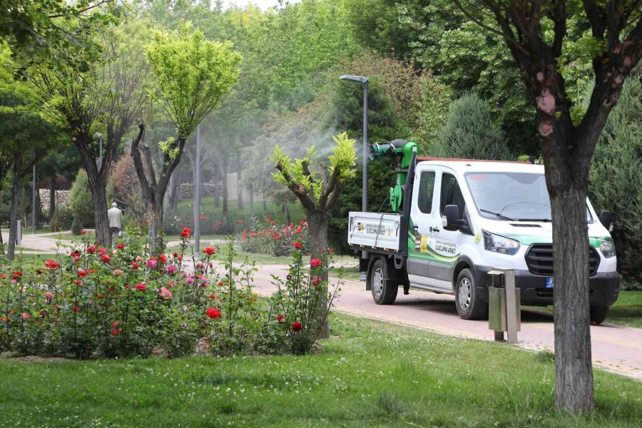 Konya Büyükşehir 31 İlçede 40 Ekiple Haşereyle Mücadele Yürütüyor