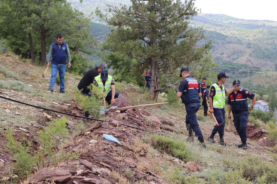 Hadim Jandarma Komutanlığı 183. Yılını Fidan Dikerek Kutladı