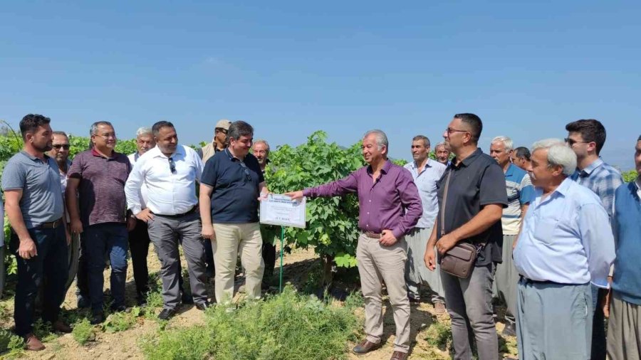 Üreticiye "bağa Bak Üzüm Olsun, Yemeye Yüzün Olsun" Eğitimi