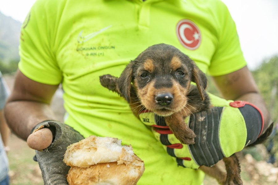 Mersin’de 2 Gün Çukurda Mahsur Kalan Köpek Kurtarıldı