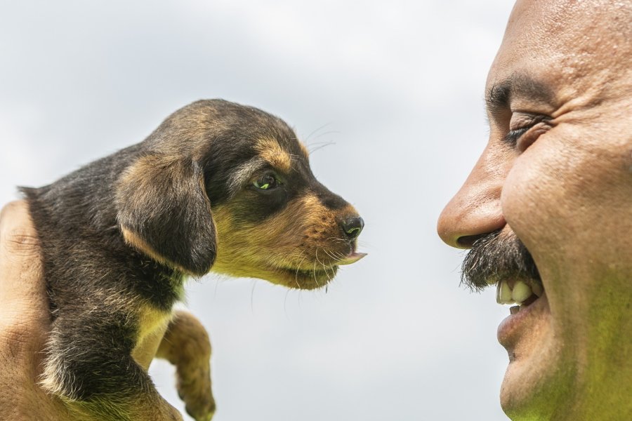 Mersin’de 2 Gün Çukurda Mahsur Kalan Köpek Kurtarıldı