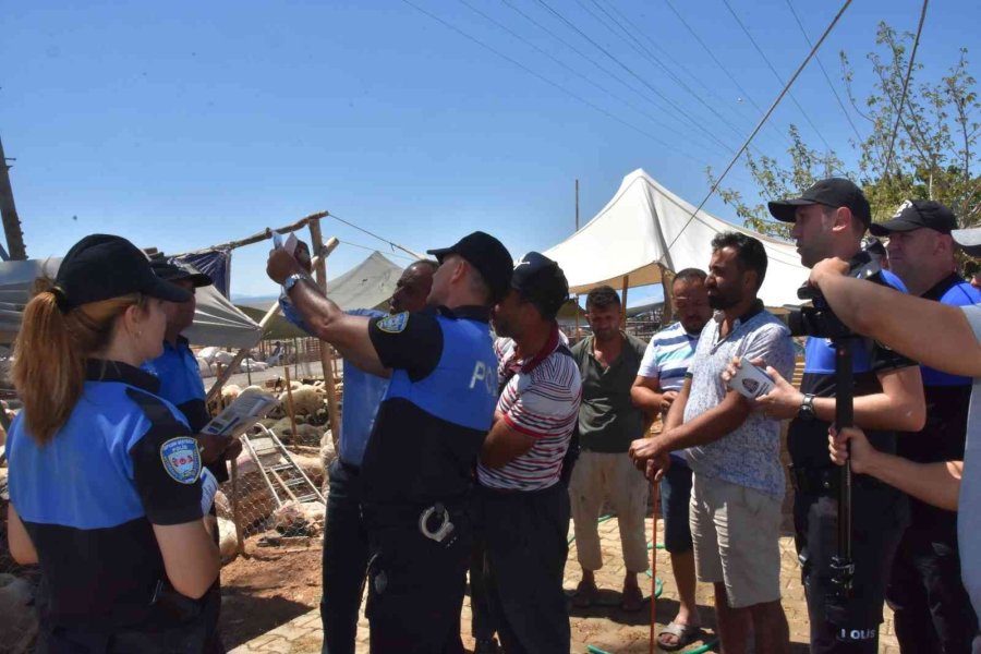 Mersin’de Hayvan Satıcıları Dolandırıcılara Karşı Bilgilendiriliyor