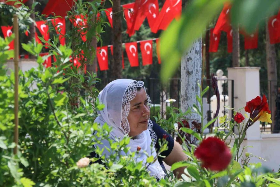 Şehit Annesi: "biz Mehmetçiklerimizin Sayesinde Ayaktayız, Bir Gitse De Bin Geliyor"