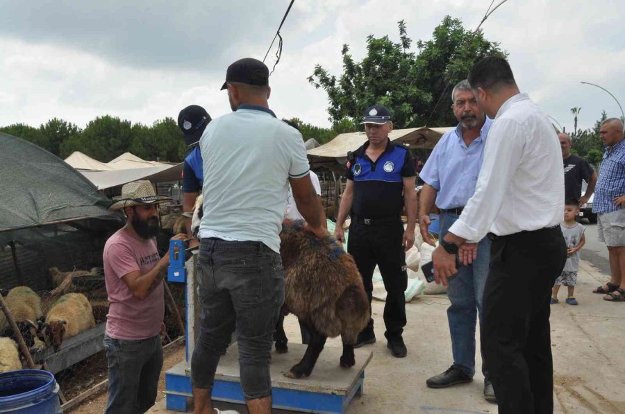 Tarsus’ta Kurban Satış Yerleri Denetlendi