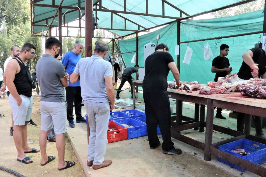 Kurban Kesimini Uzmanlar Halletti, Onlara Bayram Heyecanı Kaldı