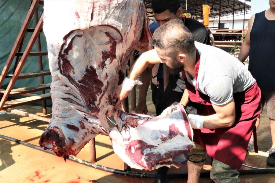 Kurban Kesimini Uzmanlar Halletti, Onlara Bayram Heyecanı Kaldı