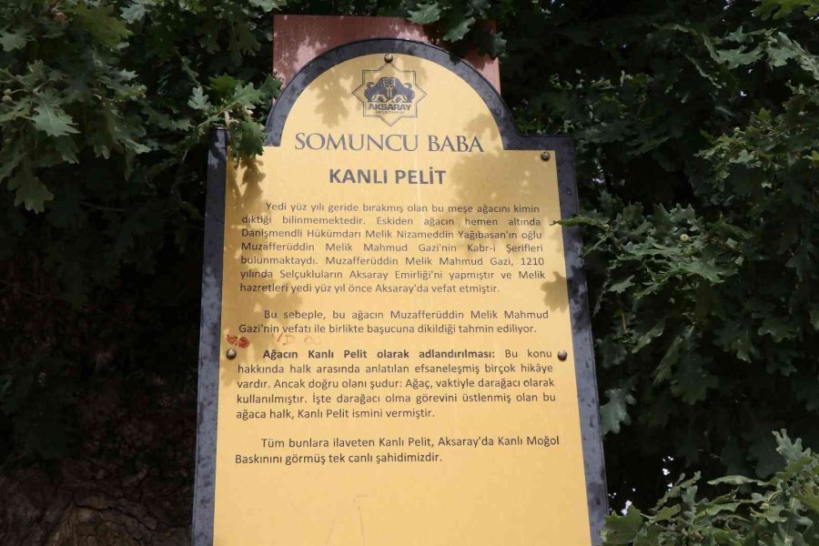 700 Yıllık ’kanlı Pelit’ Efsanelerle Yaşıyor