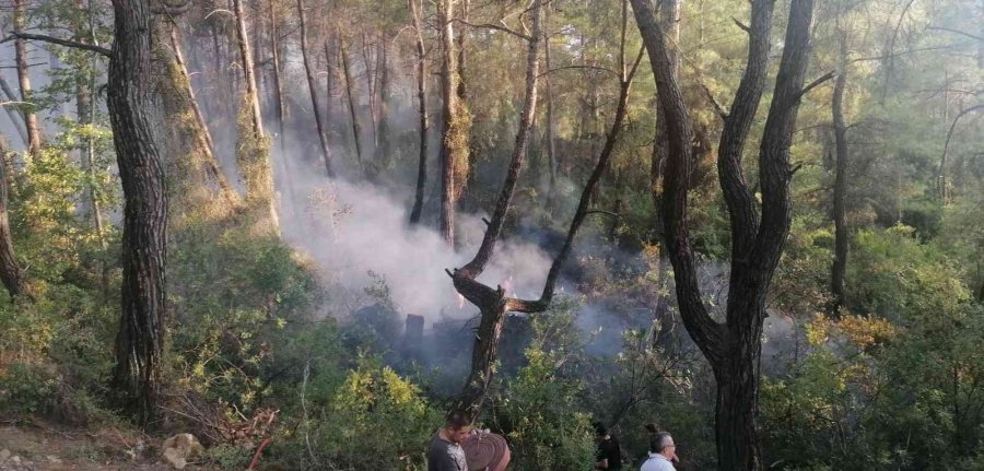 Manavgat’taki Orman Yangını Büyümeden Söndürüldü