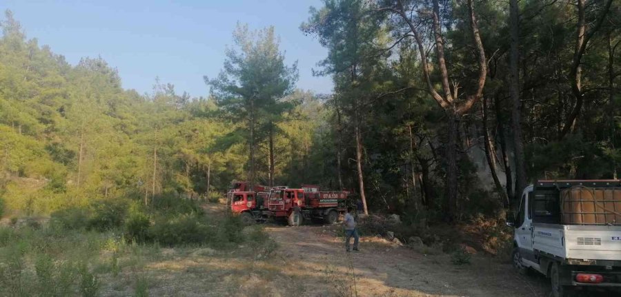 Manavgat’taki Orman Yangını Büyümeden Söndürüldü