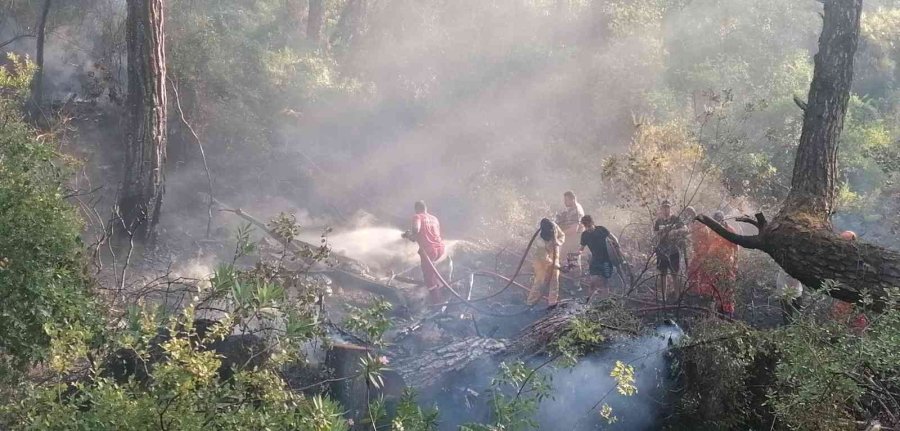 Manavgat’taki Orman Yangını Büyümeden Söndürüldü