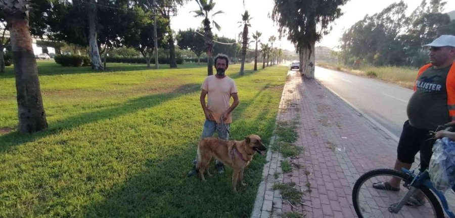 Antalya’da Otluk Alanda Köpek Tarafından Bulunan Cesedin Kimliği Belirlendi