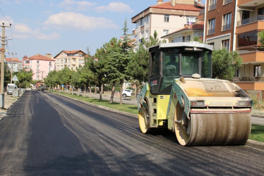 Başkan Akkaya Asfaltlama Çalışmalarını İnceledi