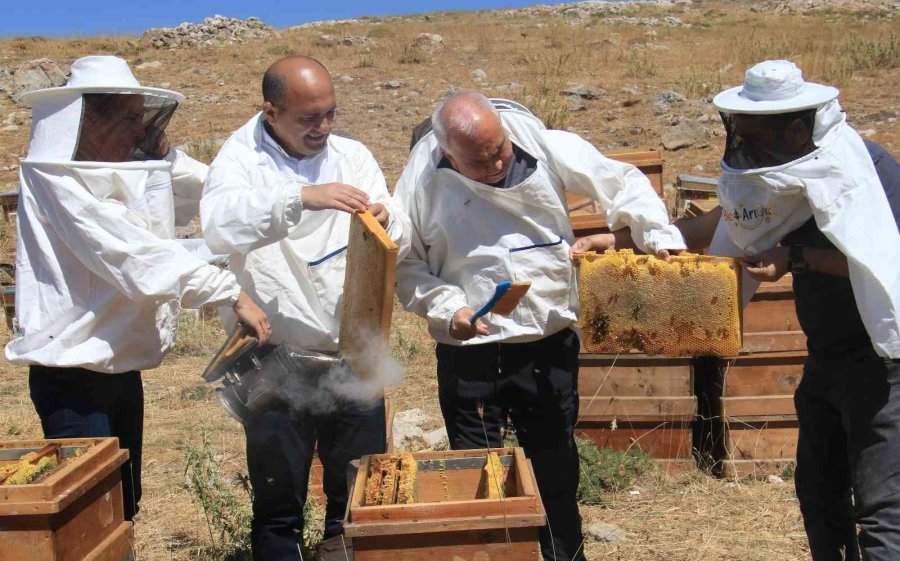 Petekler Balla Doldu, Üreticinin Yüzü Güldü