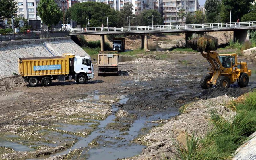 Müftü Deresinde Islah Çalışmaları Sürüyor