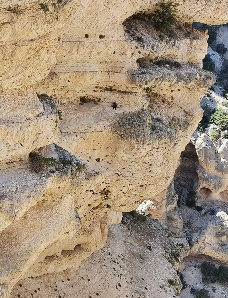 Keçileri Kurtarmak İsterken Mahsur Kaldı, Ekipler Kurtardı