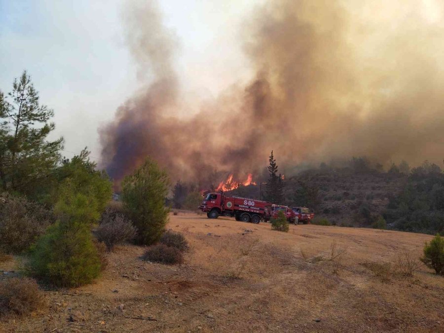 Mersin’deki Orman Yangınına 3 Uçak, 2 Helikopterle Müdahale Ediliyor