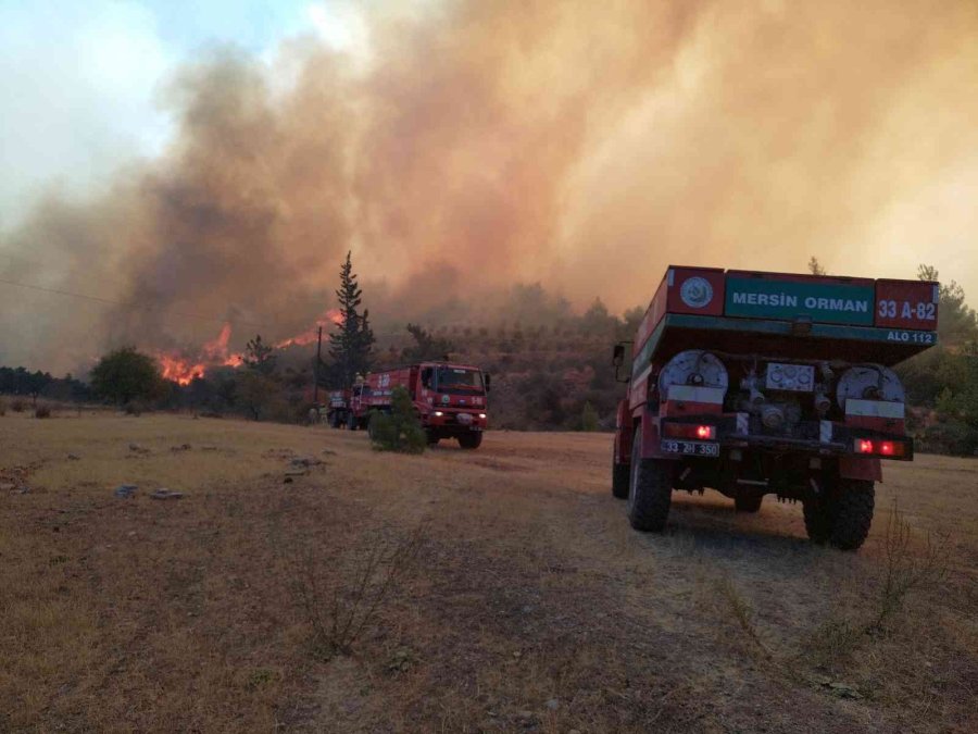 Mersin’deki Orman Yangınına 3 Uçak, 2 Helikopterle Müdahale Ediliyor