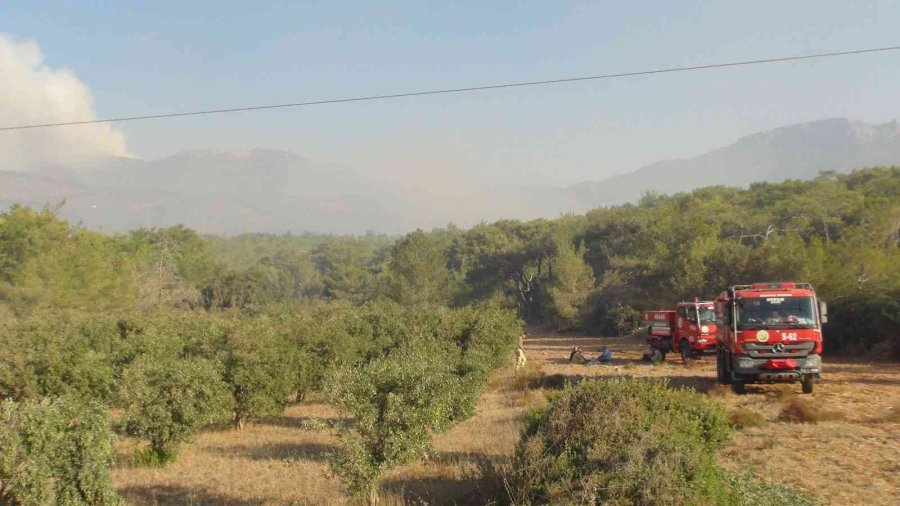 Mersin’deki Orman Yangınlarına Müdahale Sürüyor