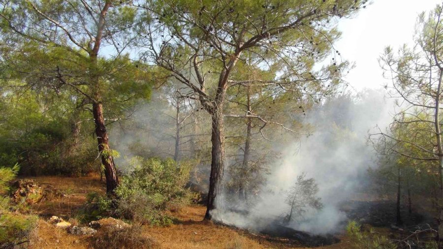 Mersin’deki Orman Yangınlarına Müdahale Sürüyor