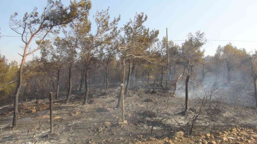 Mersin’deki Orman Yangınlarına Müdahale Sürüyor